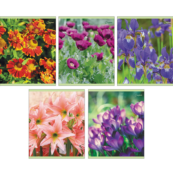 Цветочное настроение ТЕТРАДИ А5 (*скрепка) 48Л. Обложка: без отделки