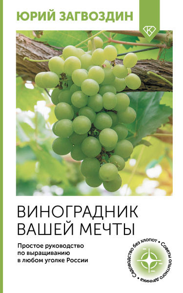 SOURCE_PICTURE