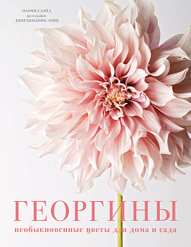 Георгины. Необыкновенные цветы для дома и сада Георгины. Необыкновенные цветы для дома и сада