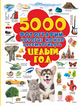 5000 фотографий, которые можно рассматривать целый год 5000 фотографий, которые можно рассматривать целый год