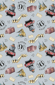 Обложка для паспорта. Гарри Поттер (паттерн) Обложка для паспорта. Гарри Поттер (паттерн)