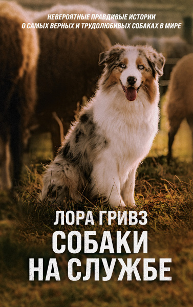 SOURCE_PICTURE