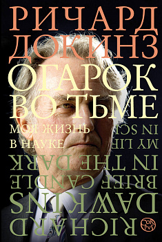 Огарок во тьме Огарок во тьме