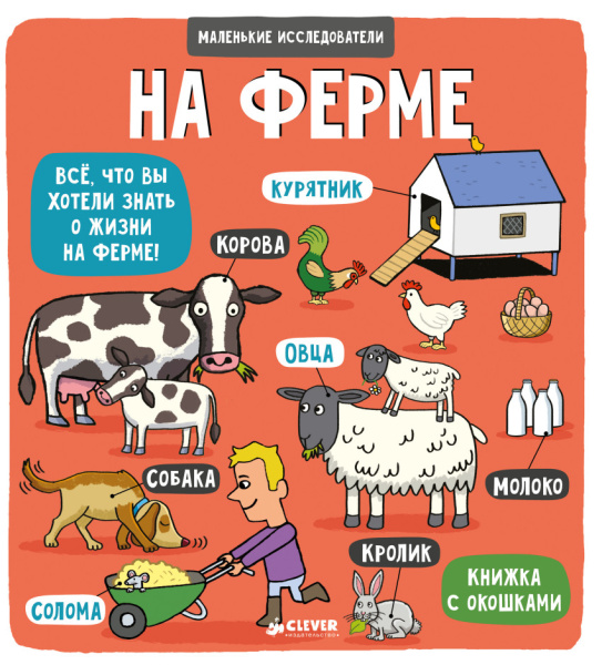 ВВИ. Маленькие исследователи. На ферме