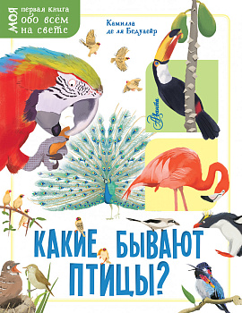 Какие бывают птицы? Какие бывают птицы?