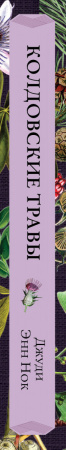 SOURCE_SPINE