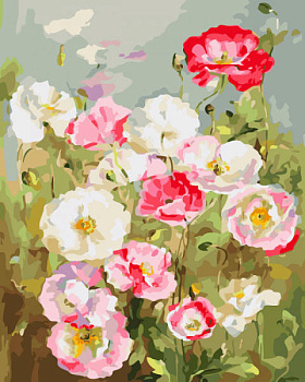 Раскраски по номерам ТМ Color KIT. Нежные цветы- картина по номерам (CG446)